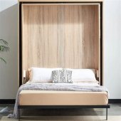 Used Queen Size Murphy Bed