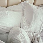 Do Bed Bugs Eat Holes In Sheets